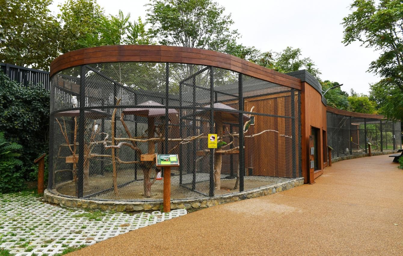 Gallery image https://api.archico.az/storage/615/1lbc908k8n_35-(1).jpg