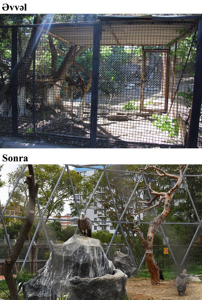 Reconstruction of Baku City Zoo