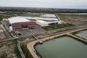 Yenikend Fish farm (Neftchala, Azerbaijan)