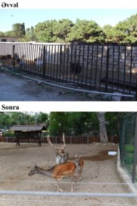 Реконструкция Бакинского городского зоопарка